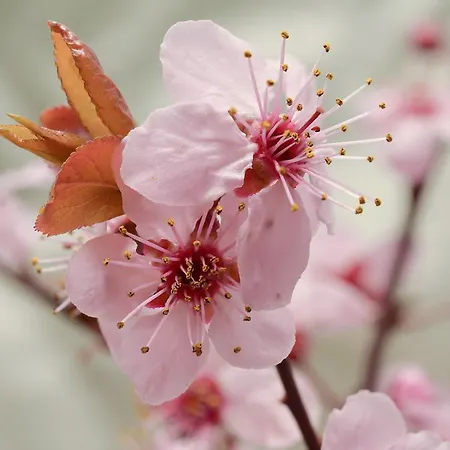 Pensión Le Camerine Di Silvia 2 Siena