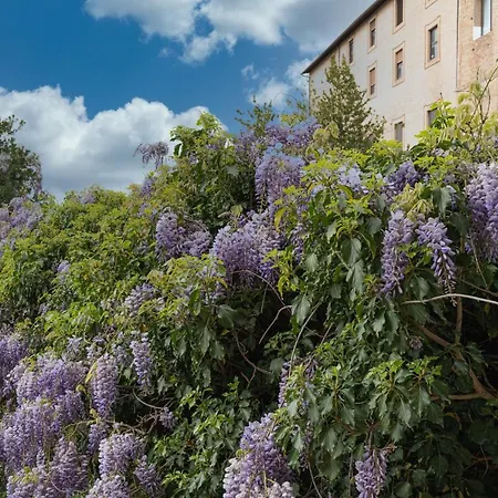 Le Camerine Di Silvia 2 Gasthof *